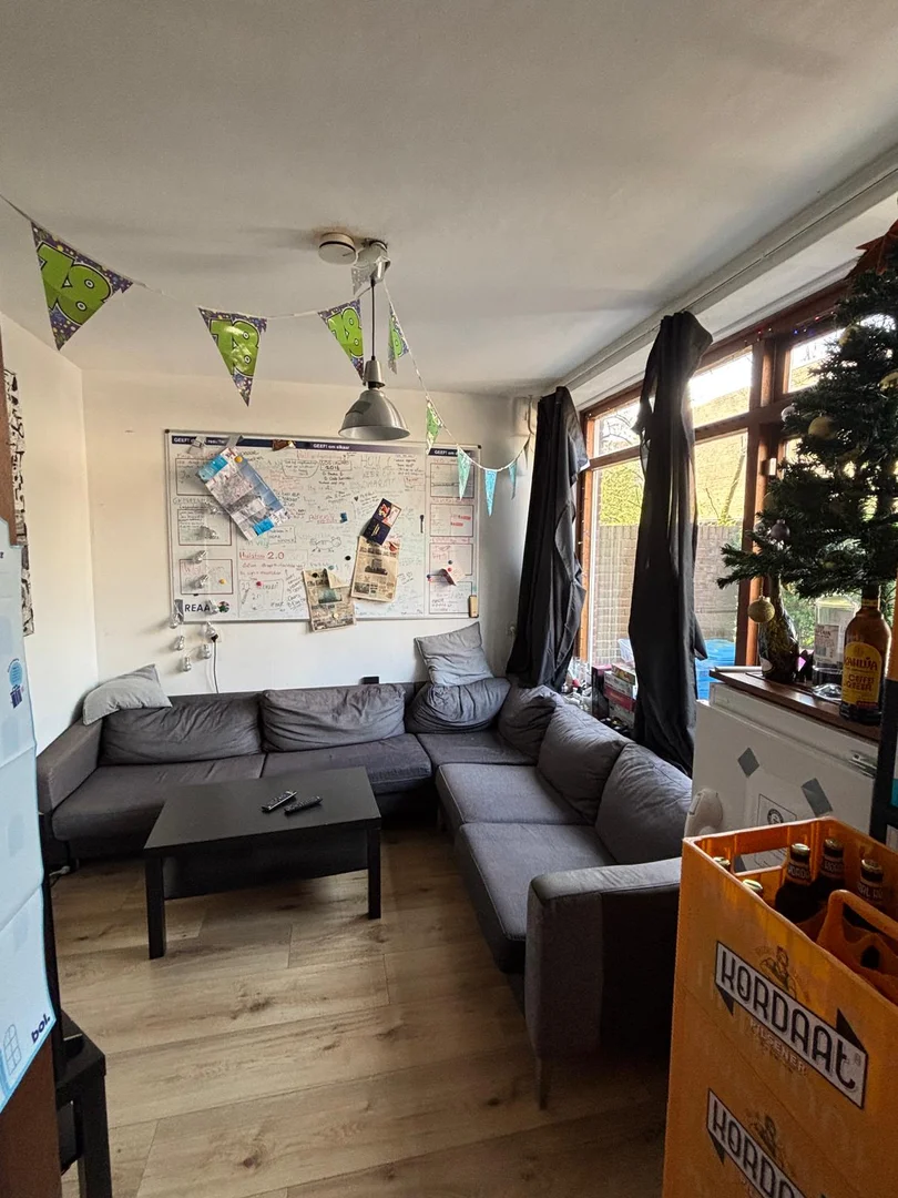 Niedrogi pokój dla studentów z dużym oświetleniem w 
