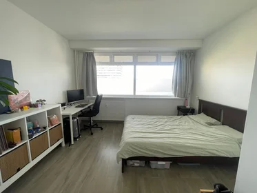 私人房间 在 Hendrik Tollensstraat, 7的图像1