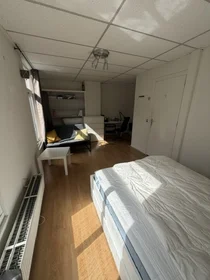 Chambre privée à Gysbert Japicxstraat, image 5 de 10