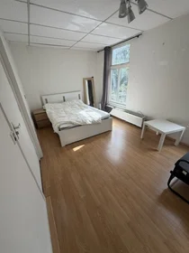 Chambre privée à Gysbert Japicxstraat, image 6 de 10