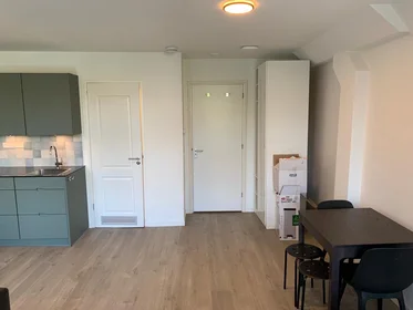 Logement entier à Ruysdaelkade, image 1 de 10