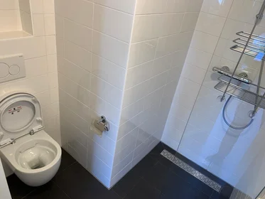 Logement entier à Ruysdaelkade, image 3 de 10