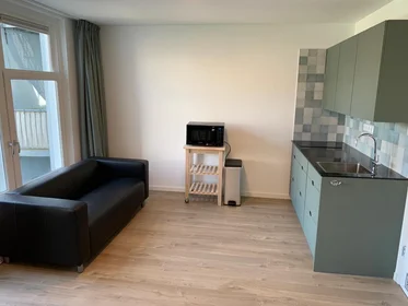 Logement entier à Ruysdaelkade, image 5 de 10