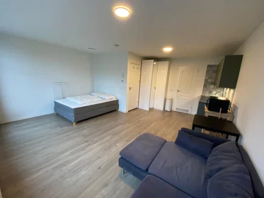 Logement entier à Ruysdaelkade, image 6 de 10