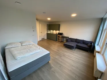 Logement entier à Ruysdaelkade, image 7 de 10