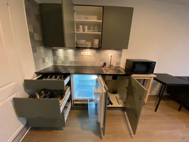 Logement entier à Ruysdaelkade, image 9 de 10