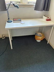 Quarto privado em Eerste Oude Heselaan, imagem 2 de 9