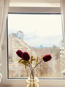 Privatzimmer in der Regina-Ullmann-Straße, Bogenhausen, bild 9 von 10