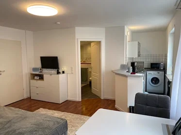 Apartamento inteiro em Schottengasse, Altstadt-St. Lorenz, imagem 2 de 10