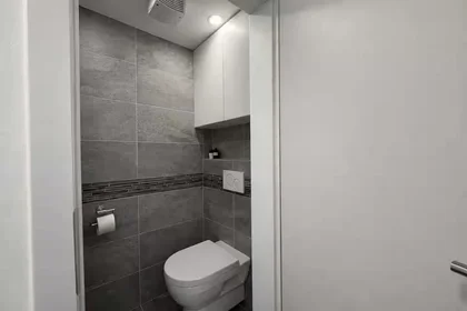 Entire apartment at Mlýnská 293/15, image 14 of 18