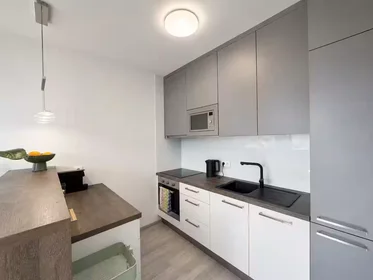 Entire apartment at Mlýnská 293/15, image 15 of 18