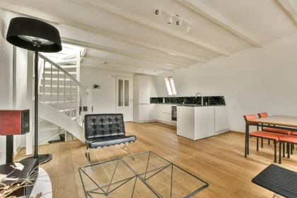 Logement entier à Bilderdijkkade, image 12 de 39