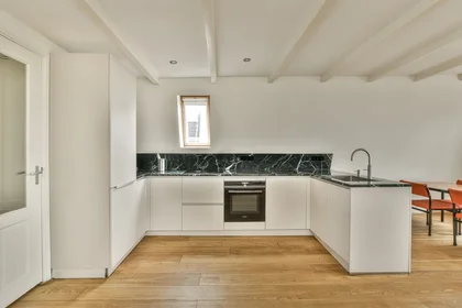 Logement entier à Bilderdijkkade, image 34 de 39