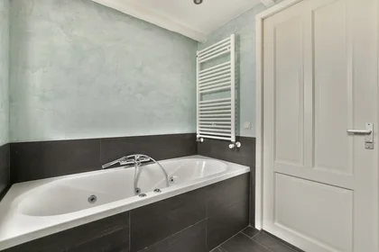 Logement entier à Bilderdijkkade, image 9 de 39