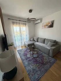 Alojamiento entero en Iva Vizina, imagen 1 de 10