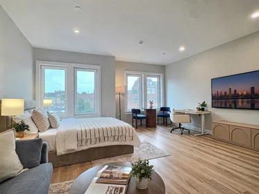 Studio in residence at 1305, Hyde Park Ave., Unit 213, Hyde Park, Boston, MA, 02136, image 17 of 17