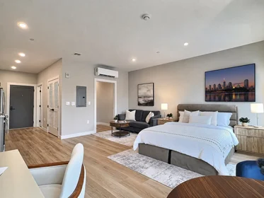 Studio in residence at 1305, Hyde Park Ave., Unit 213, Hyde Park, Boston, MA, 02136, image 5 of 17