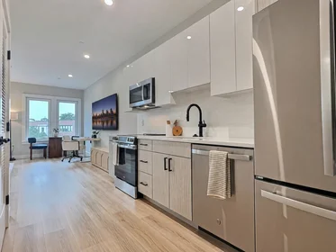 Studio in residence at 1305, Hyde Park Ave., Unit 213, Hyde Park, Boston, MA, 02136, image 9 of 17