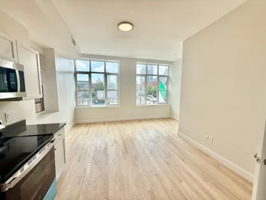 Studio in residence at 204, Hanover, Unit 2F, North End, Boston, MA, 02113, image 12 of 14