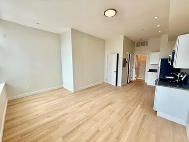 Studio in residence at 204, Hanover, Unit 2F, North End, Boston, MA, 02113, image 5 of 14