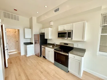 Studio in residence at 204, Hanover, Unit 2F, North End, Boston, MA, 02113, image 6 of 14