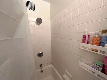 Entire apartment in residence at 7, Hereford St., Unit 5, Back Bay, Boston, MA, 02115, image 7 of 16