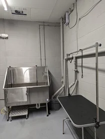 Entire apartment in residence at 3193, Washington St., Unit 206, Jamaica Plain, Boston, MA, 02130, image 3 of 18