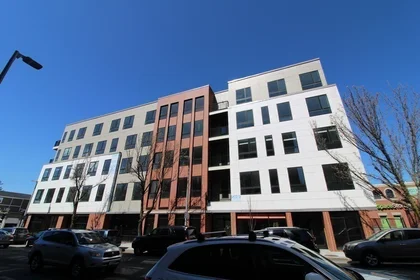 Entire apartment in residence at 3193, Washington St., Unit 206, Jamaica Plain, Boston, MA, 02130, image 6 of 18