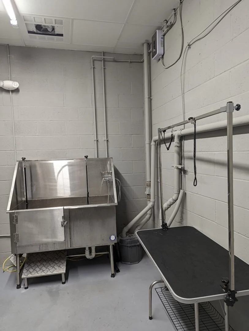 3193, Washington St., Unit 206, Jamaica Plain, Boston, MA, 02130