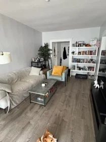 Logement entier en résidence à 14, Melvin Ave., Unit 4, Brighton, Boston, MA, 02135, image 14 de 23