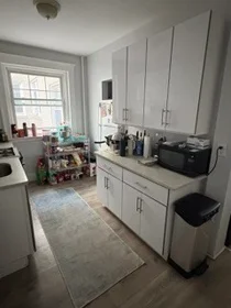 Logement entier en résidence à 14, Melvin Ave., Unit 4, Brighton, Boston, MA, 02135, image 18 de 23