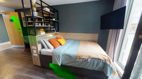 Furnished studio in {area}