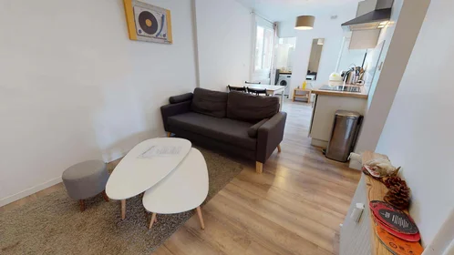 Prywatny pokój 148 Rue Alexis Perroncel, 69100 Villeurbanne, France, obraz 13 14