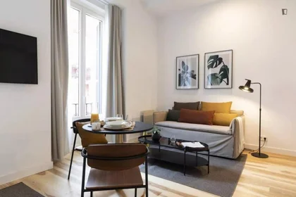 Entire apartment at Plaza del Ángel, image 11 of 20