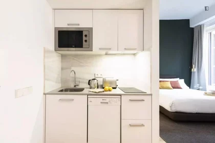 Entire apartment at Plaza del Ángel, image 16 of 20