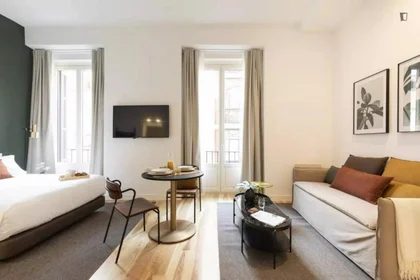 Entire apartment at Plaza del Ángel, image 8 of 20