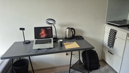 Estudio en Bottelroosstraat, imagen 4 de 5