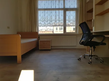Privatzimmer in der Muntweg, bild 7 von 7