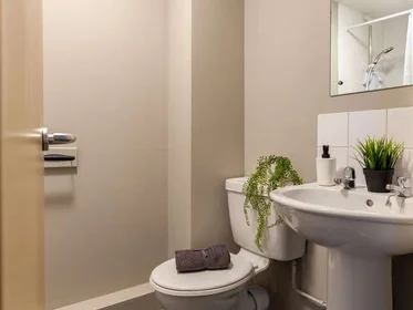 Private room in residence at 1 Lineker Rd, Leicester LE2 7FZ, United Kingdom , image 5 of 28