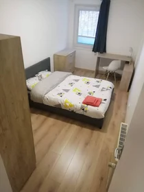 Stanza privata in Tours, 37200, immagine 12 di 49