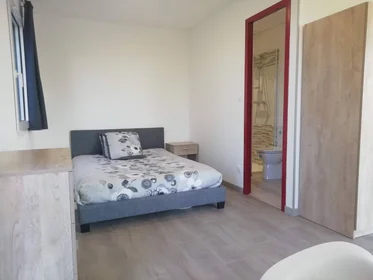 Stanza privata in Tours, 37200, immagine 15 di 49