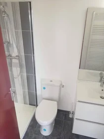 Stanza privata in Tours, 37200, immagine 16 di 49