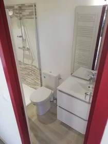 Stanza privata in Tours, 37200, immagine 17 di 49