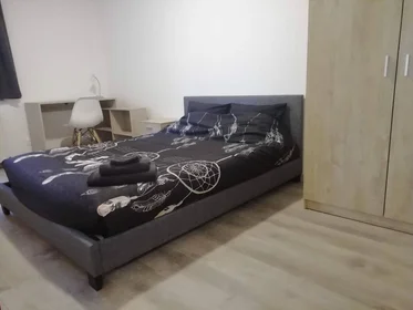 Stanza privata in Tours, 37200, immagine 19 di 49