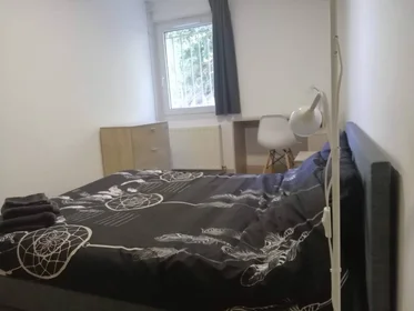 Stanza privata in Tours, 37200, immagine 20 di 49