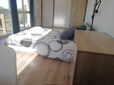 Stanza privata in Tours, 37200, immagine 3 di 49