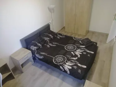 Stanza privata in Tours, 37200, immagine 22 di 49