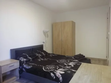 Stanza privata in Tours, 37200, immagine 25 di 49