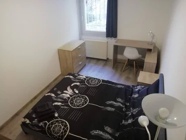 Stanza privata in Tours, 37200, immagine 29 di 49