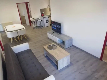 Stanza privata in Tours, 37200, immagine 30 di 49